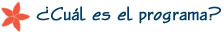 &iquest;Cu&aacute;l es el programa?