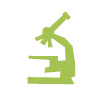 �reas de investigaci�n