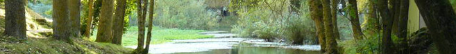 Nacimiento del Ebro